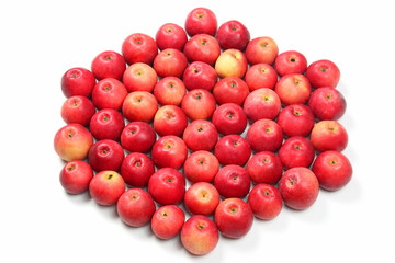 Lots of red apples on white background