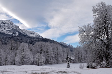 Alps