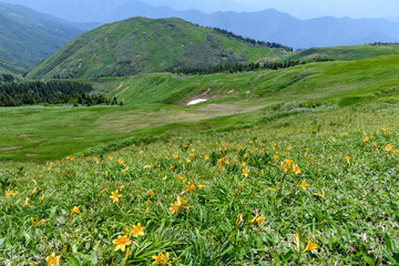 前巻機山（ニセ巻機山）