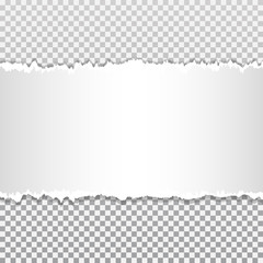 Torn paper set, isolated on transparent background.