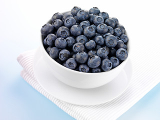 BOWL OF BLUEBERRIES