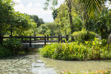 Landscape of the bridge in garden. Background and texture of nature.