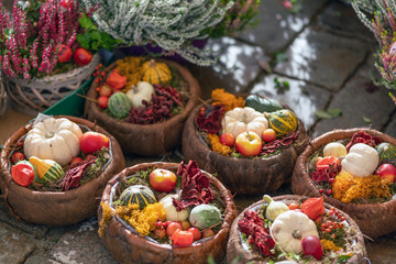 Picture of autumn market. Pumpkin and vegetables on the ground