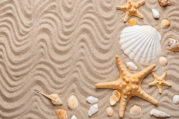 Fototapeta na wymiar Composition with different sea shells and starfishes on sand