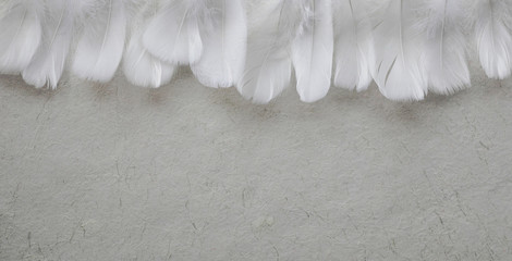 Angelic White feather header - fluffy white feathers placed in a row forming a header against rustic pale off white hand made paper with copy space
 - obrazy, fototapety, plakaty