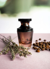 Bottle of perfume with flowers and coffee beans on color table