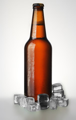 bottle of beer with ice