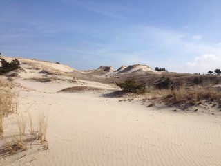Sand and dunes in Łeba, Poland