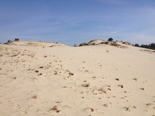 Fototapeta na wymiar Sand and dunes in Łeba, Poland