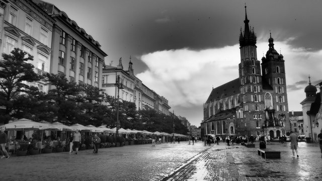 Fototapeta OLYMPUS DIGITAL CAMERA