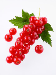 REDCURRANTS