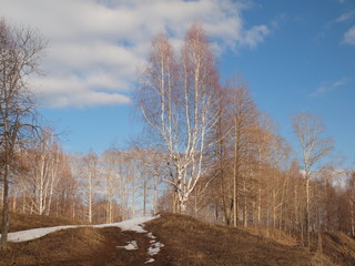 Obraz na płótnie Canvas Spring Park, melting snow and ice. Russian spring nature. Russia, Ural, Perm Region