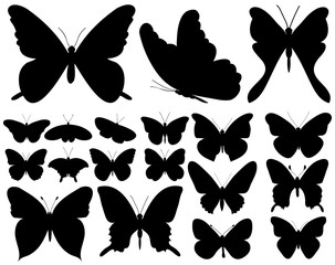  isolated, set of beautiful butterflies silhouette