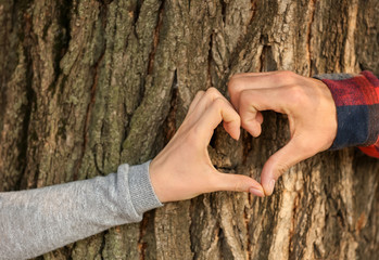 Happy couple making heart with their hands on tree bark, closeup