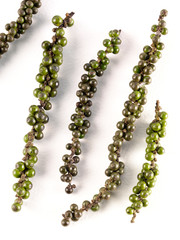 FRESH PEPPERCORNS