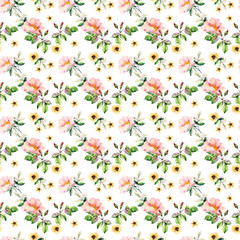 Watercolor meadow herbs and flowers seamless pattern