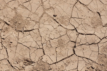 dried cracked ground without plants