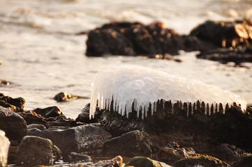Stones covered with beautiful icicles and ldm in the winter sea at sunset.
