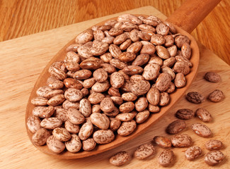 PINTO BEANS