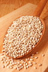 PEARL BARLEY