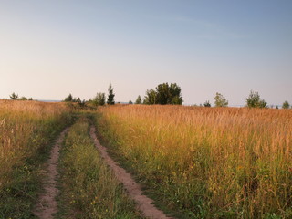 Field road. Russian summer nature. Russia, Ural, Perm region