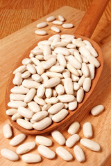 CANNELLINI BEANS / ALUBIA BEANS