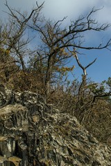 a basalt rock on the top of a hill