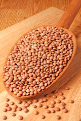 BROWN MASOOR LENTILS