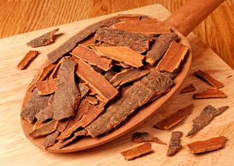 CINNAMON BARK / CASSIA CINNAMON