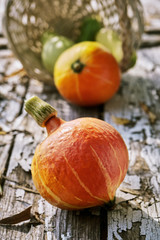 Orange pumpkin and vegetables on the old wooden boards with a peeling paint