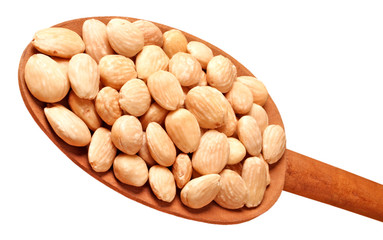 ROASTED MARCONA ALMONDS CUT OUT