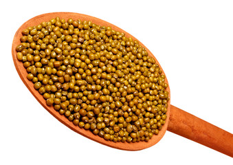 GREEN MUNG BEANS CUT OUT