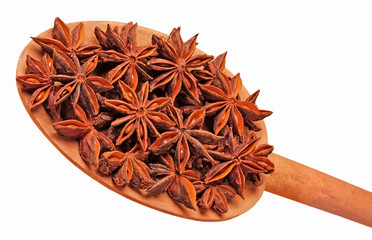 STAR ANISE CUT OUT
