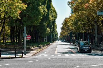 名古屋市　道路