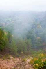 Forest river landscape draped in fog at autumn