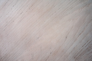 Old wood texture. Wooden rustic background with natural pattern. Copy space