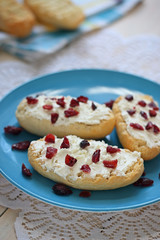 Bruschetta with cottage cheese and dried cranberries over light wooden background