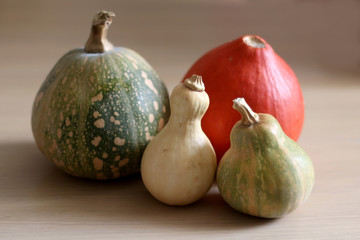 Various pumpkins on a wooden table. Selective focus.