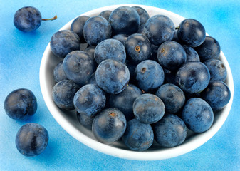 SLOE BERRIES