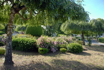Rond-point fleuri, arbres, arbustes, massif de fleurs roses, ville de Contres, département du Loir-et-Cher, France