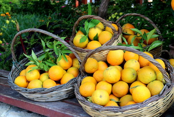 oranges fruits colors