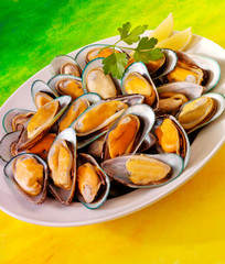 NEW ZEALAND GREEN MUSSELS