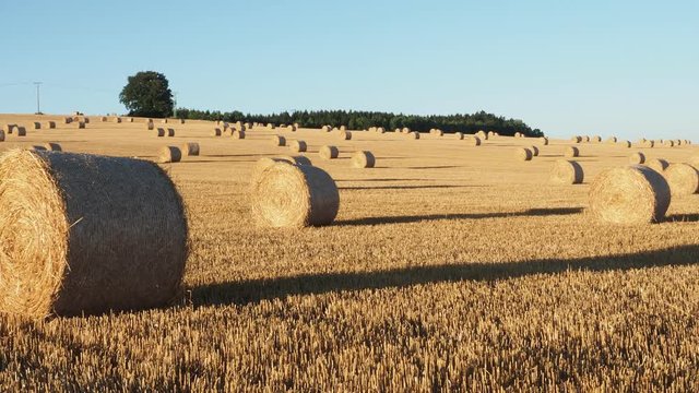 Hay bales on the field after harvest. Agricultural field. Hay bales in golden field landscape.