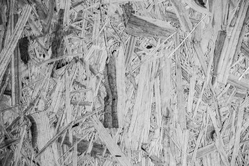 Wooden natural rustic background. Abstract texture plywood veneer.