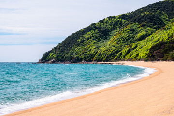 A beautiful beach along the coastline in Abel Tasman National Park, South Island, New Zealand.