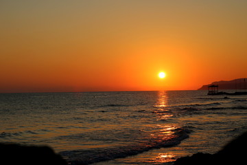 Sunset sea plant sand sunrise