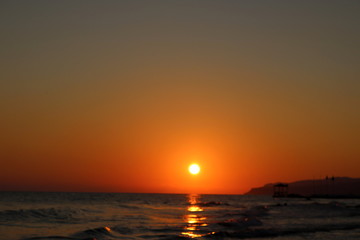 Sunset sea plant sand sunrise