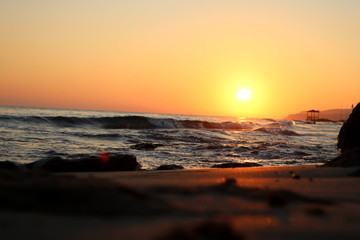 Sunset sea plant sand sunrise