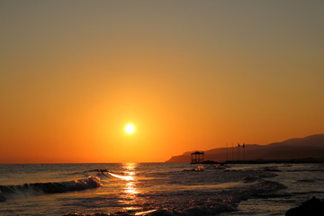 Sunset sea plant sand sunrise