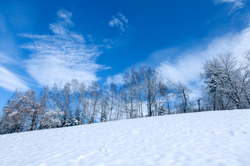 Morning winter season snowy countryside landscape with blue sky.
